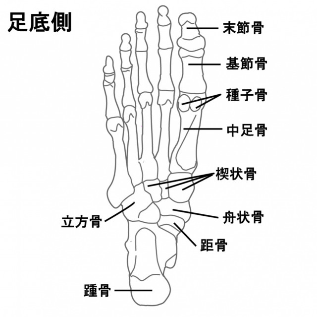 有痛性外脛骨