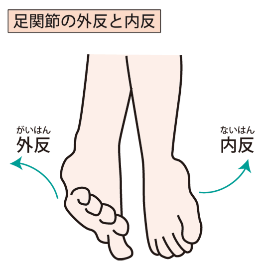 外反・内反のイラスト